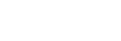 BCS Automotive Interface Solutions